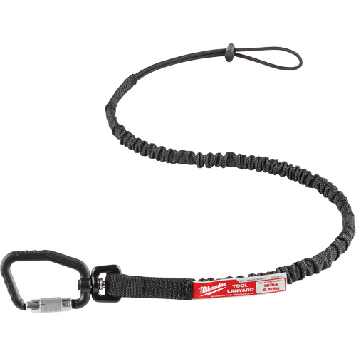 Locking Tool Lanyard, Bungee, Carabiner/Loop Advanced Consulting and Training Ltd.
