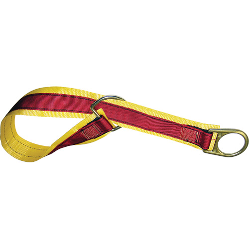 4' Anchorage Connector Strap, D-Ring, Temporary Use Advanced Consulting and Training Ltd.