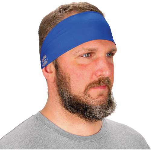 Chill-Its 6634 Cooling Headband, Blue Advanced Consulting and Training Ltd.