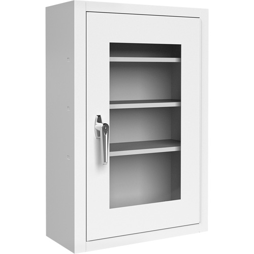 Lockable Medicine Cabinet with Plexiglas Door Advanced Consulting and Training Ltd.