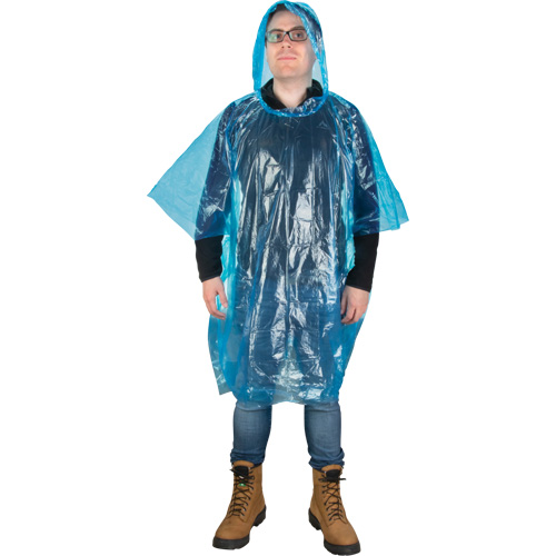 Disposable Poncho Advanced Consulting and Training Ltd.