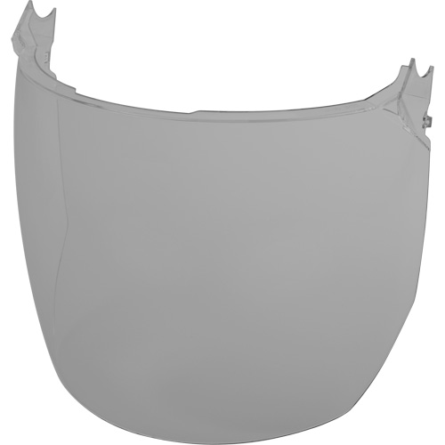 Lentilles de remplacement d&eacute;cran facial, Polycarbonate, Teinte Grise/fum&eacute;e Advanced Consulting and Training Ltd.