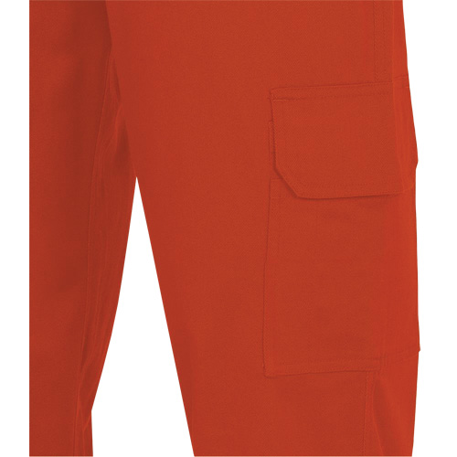 7765 Pantalon cargo de s&eacute;curit&eacute; haute visibilit&eacute; r&eacute;sistant aux arcs &eacute;lectriques FR-Tech 88/12, 30, x 32, Orange haute visibilit&eacute;, 10 cal/cm² Advanced Consulting and Training Ltd.