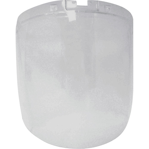 DP4 Series Replacement Anti-Fog Faceshield, Polycarbonate, Clear Tint Advanced Consulting and Training Ltd.