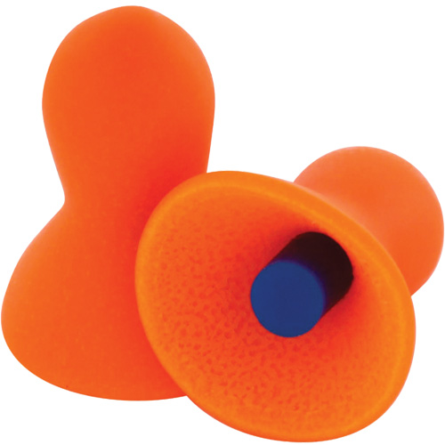 Quiet Multiple-Use Earplugs, Bulk - B Advanced Consulting and Training Ltd.
