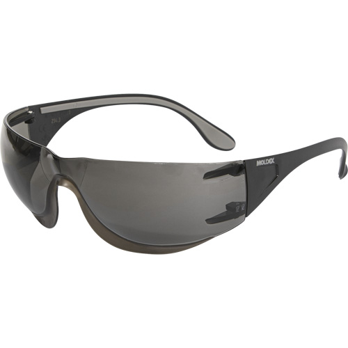 Adapt Safety Glasses, Smoke Lens, Anti-Fog/Anti-Scratch, ANSI Z87+/Meets/Exceeds CSA Z94.3 Advanced Consulting and Training Ltd.