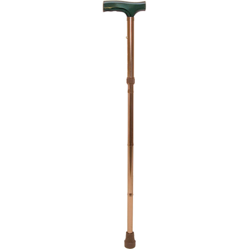 Folding Cane Advanced Consulting and Training Ltd.