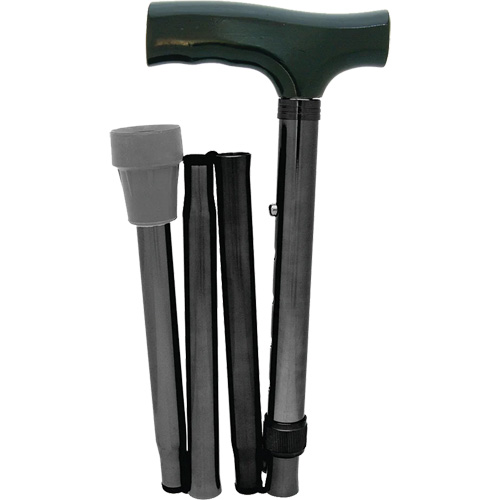 Folding Cane Advanced Consulting and Training Ltd.
