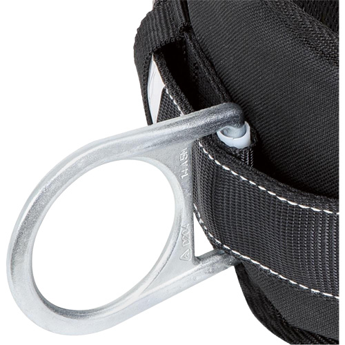 WB-6020-M Safety Positioning 2 Side D-Rings Belt with Padded Lumbar Support - Medium Advanced Consulting and Training Ltd.