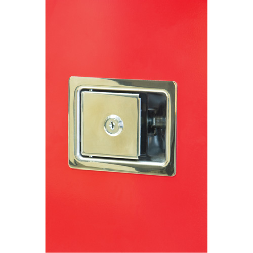 Armoires ext&eacute;rieures robustes pour extincteurs, 14" la x 28" h x 10" p Advanced Consulting and Training Ltd.