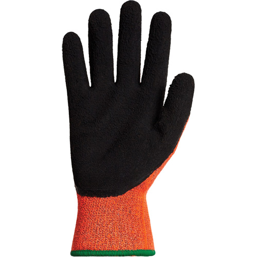 Gants d'hiver r&eacute;sistants &agrave; la coupe Dexterity TKTAGLX, Taille T-Grand, Calibre 13, Rev&ecirc;tement Latex, Enveloppe en TenActiv, ASTM ANSI niveau A3 Advanced Consulting and Training Ltd.