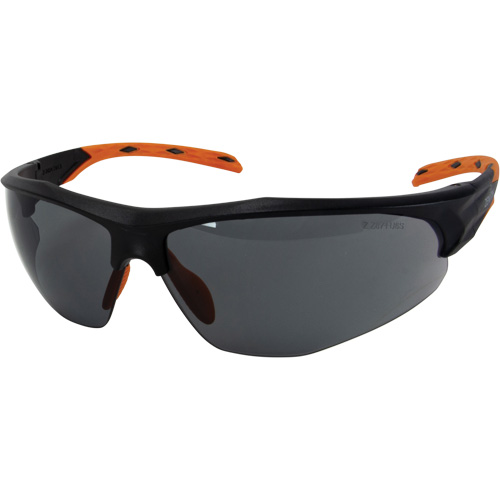 Lunettes de s&eacute;curit&eacute; de s&eacute;rie Z3700, Lentille Fum&eacute;e, Anti-&eacute;gratignures, ANSI Z87+/R&eacute;pond ou surpasse la norme CSA Z94.3 Advanced Consulting and Training Ltd.