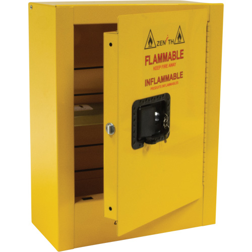 Armoire de s&eacute;curit&eacute; miniature pour produits inflammables, 2 gal., 1 Porte(s), 17" La x 22" h x 8" p Advanced Consulting and Training Ltd.