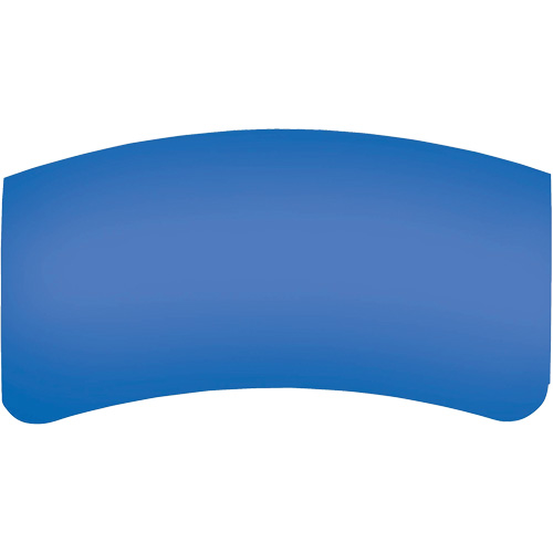 Bullard GenVX PETG Outer Lens Advanced Consulting and Training Ltd.
