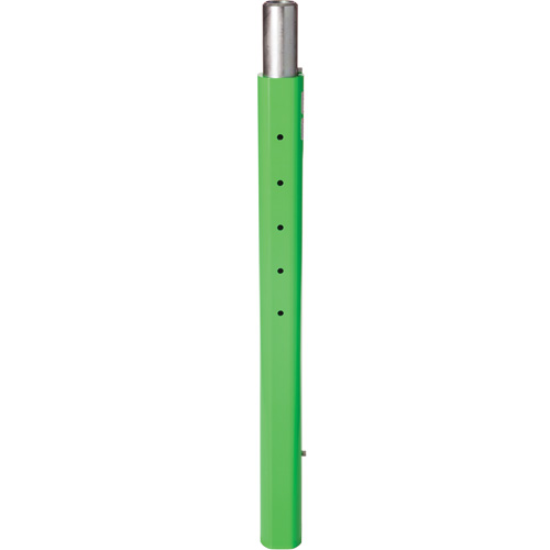 Rallonge de m&acirc;t de potence inf&eacute;rieur de 114,3 cm pour espace clos DBI-SALA Advanced Consulting and Training Ltd.
