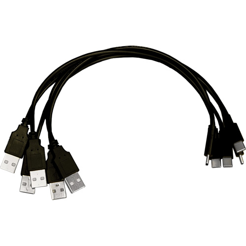 C&acirc;ble de rechange pour multi-chargeur USB-C Advanced Consulting and Training Ltd.