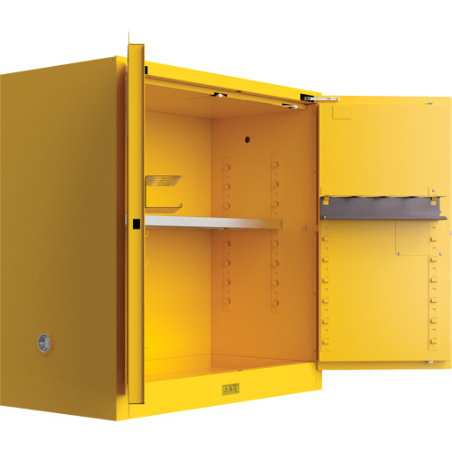 Armoire de s&eacute;curit&eacute; pour produits inflammables Utili-Guard+, 30 gal., 1 Porte(s), 43" La x 44" h x 22" p Advanced Consulting and Training Ltd.
