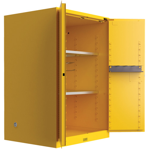 Armoire de s&eacute;curit&eacute; pour produits inflammables Utili-Guard+, 45 gal., 2 Porte(s), 43" La x 65" h x 22" p Advanced Consulting and Training Ltd.
