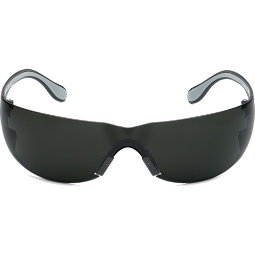 Lunettes de s&eacute;curit&eacute; Adapt Lite, Lentille Fum&eacute;e, Antibu&eacute;e/Anti-&eacute;gratignures, ANSI Z87+/R&eacute;pond ou surpasse la norme CSA Z94.3 Advanced Consulting and Training Ltd.