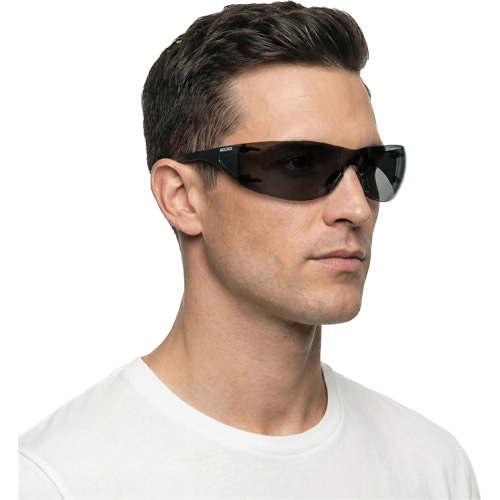 Lunettes de s&eacute;curit&eacute; Adapt Lite, Lentille Fum&eacute;e, Antibu&eacute;e/Anti-&eacute;gratignures, ANSI Z87+/R&eacute;pond ou surpasse la norme CSA Z94.3 Advanced Consulting and Training Ltd.
