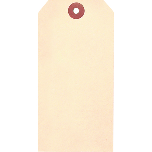 Manila Blank Tags, Cardstock, 2-5/8" W x 5-1/4" H Advanced Consulting and Training Ltd.
