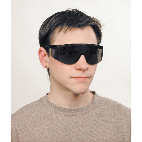 Tacoma&reg; Safety Glasses, Grey/Smoke Lens, Anti-Scratch, ANSI Z87+ Advanced Consulting and Training Ltd.