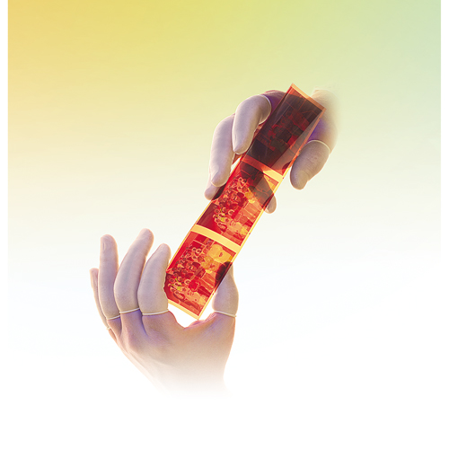 QRP&reg; Powder-Free Qualatex Latex Finger Cots Advanced Consulting and Training Ltd.