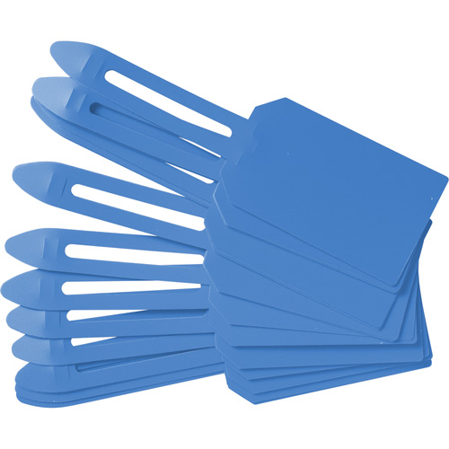 Blank Plastic Lock-On Tags, Plastic, 3-1/4" W x 5-4/5" H, Blank Advanced Consulting and Training Ltd.