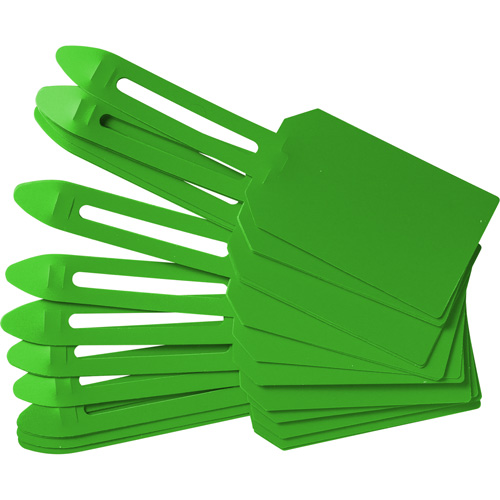 &eacute;tiquettes de cadenassage vierges en plastique, Plastique, 3-1/4" la x 5-4/5" h, Vierge Advanced Consulting and Training Ltd.