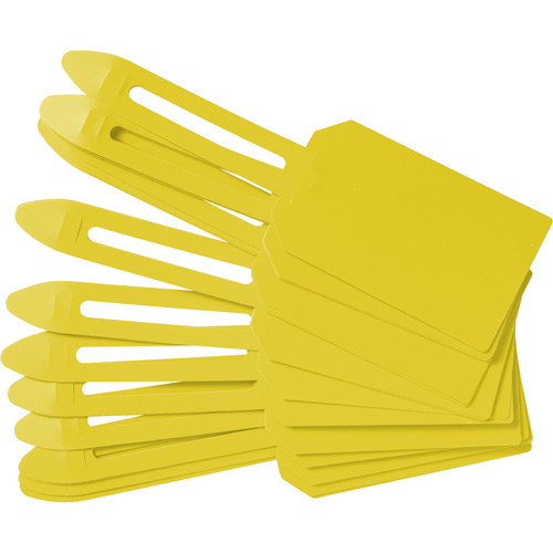 &eacute;tiquettes de cadenassage vierges en plastique, Plastique, 3-1/4" la x 5-4/5" h, Vierge Advanced Consulting and Training Ltd.