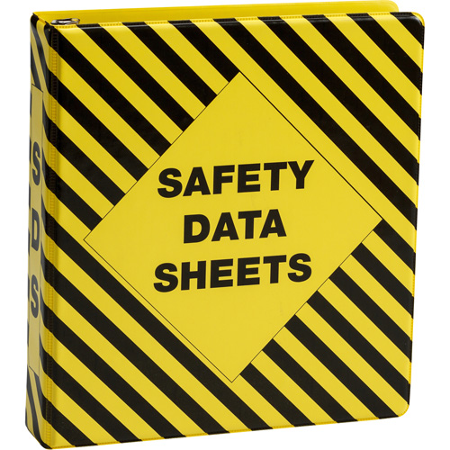 SDS Binder Advanced Consulting and Training Ltd.