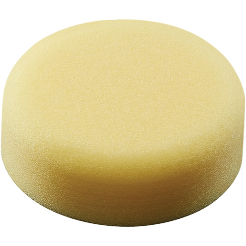Polishing Pad, 3" Dia. Advanced Consulting and Training Ltd.