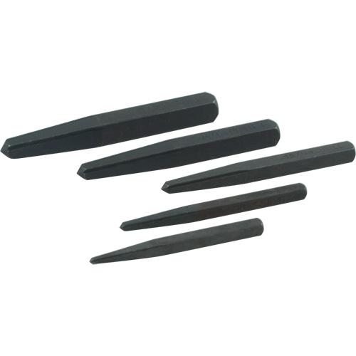 Straight Type Extractor Set, 5 Pieces Advanced Consulting and Training Ltd.