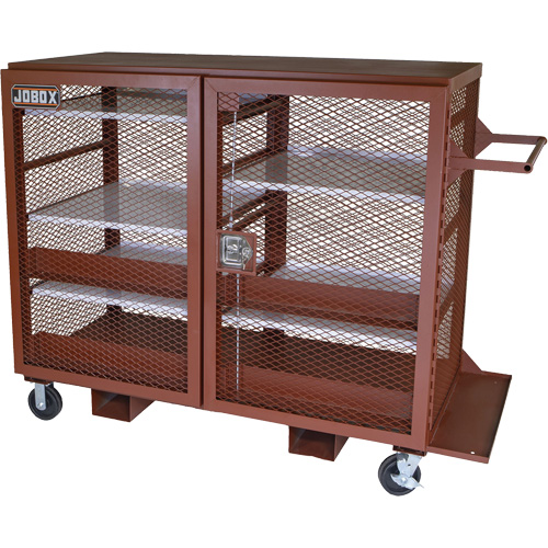 Armoire mobile en treillis, Acier, 49 pi³, Rouge Advanced Consulting and Training Ltd.