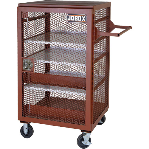 Armoire mobile en treillis, Acier, 22 pi³, Rouge Advanced Consulting and Training Ltd.