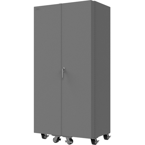 Empty Mobile Cabinet Advanced Consulting and Training Ltd.