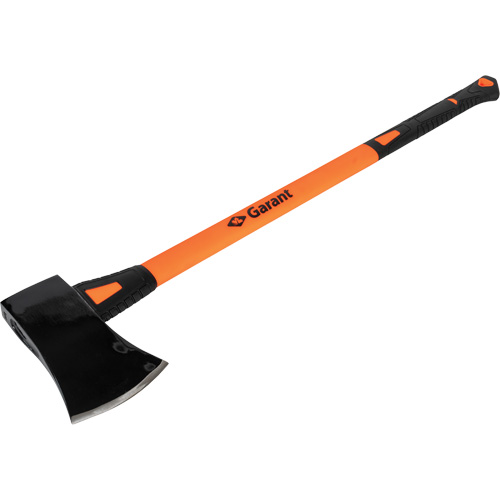 Michigan Axe Advanced Consulting and Training Ltd.