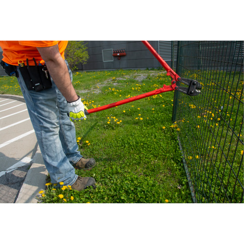 Bolt Cutter, 18" L, Center Cut Advanced Consulting and Training Ltd.