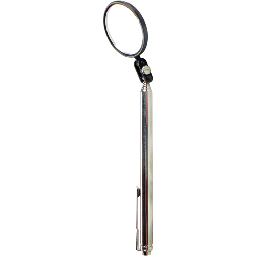 Inspection Mirror, Circular, 1-1/2" L x 1-1/2" W, Telescopic Advanced Consulting and Training Ltd.