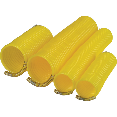 Nylon Coil Air Hose With Fittings, Air, 1/4" ID x 25' L, Nylon, 200 PSI at 23°C Advanced Consulting and Training Ltd.