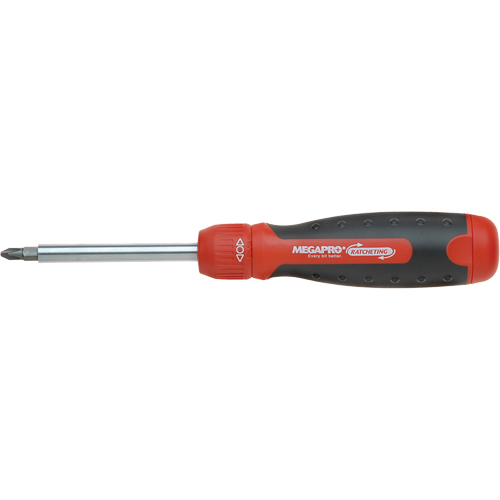 13-in-1 Ratcheting Driver, Cushion Grip Handle Advanced Consulting and Training Ltd.