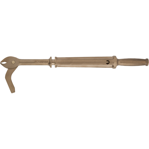 Nail Puller Advanced Consulting and Training Ltd.