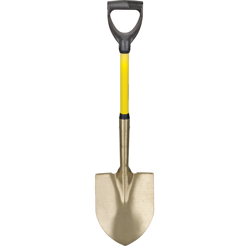 Shovels & Scoops Advanced Consulting and Training Ltd.