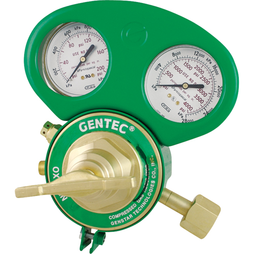 153 Series - Gauge Protectors Advanced Consulting and Training Ltd.