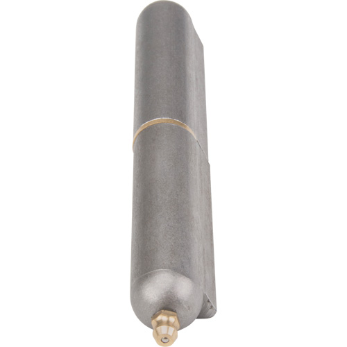 Charni&egrave;re &agrave; souder, 0,787" dia. x 5,906" lo, Acier doux a/goupille fixe en acier Advanced Consulting and Training Ltd.
