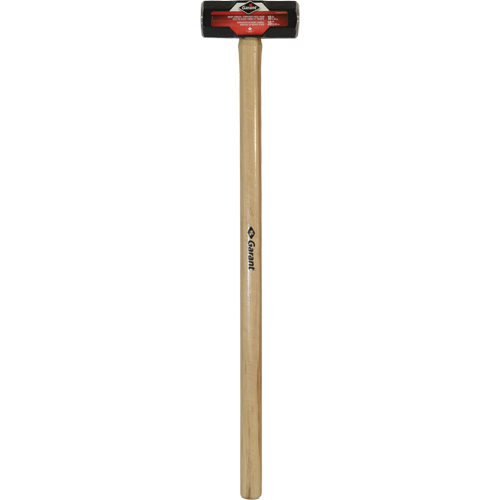 Double-Face Sledge Hammer, 10 lbs., 36" L, Wood Handle Advanced Consulting and Training Ltd.
