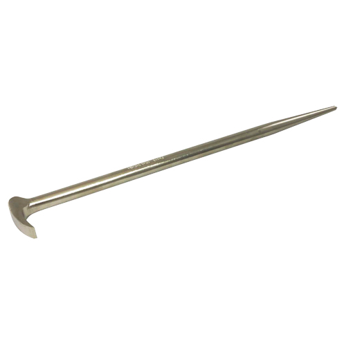 Rolling Head Pry Bar, 2" W x 15-1/4" L Advanced Consulting and Training Ltd.