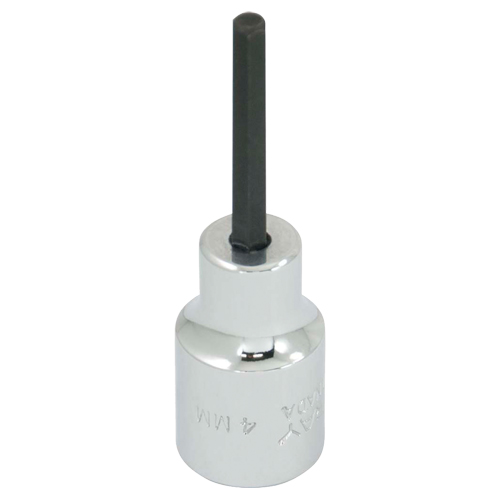 Embout de rechange, 5 mm x 1-1/5" lo, Prise 3/8" Advanced Consulting and Training Ltd.