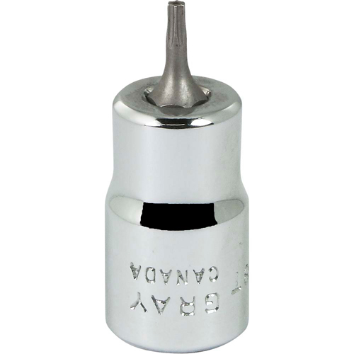 Bit Socket, Torx&reg;, T8 x 2-1/8" L, 3/8" Drive Advanced Consulting and Training Ltd.