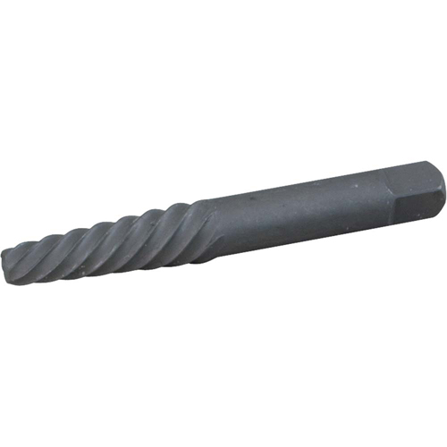 Screw Extractor, 1, For Screw Size 1/8" Advanced Consulting and Training Ltd.
